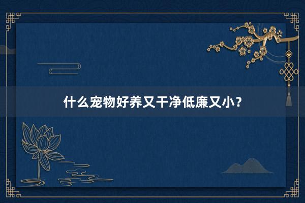 什么宠物好养又干净低廉又小?